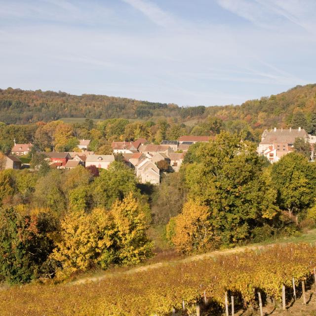 Mavilly Mandelot Vignobles Automne