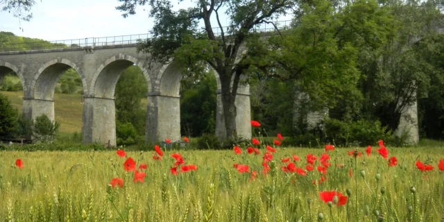 Printemps Viaduc Cormot Vauchignon