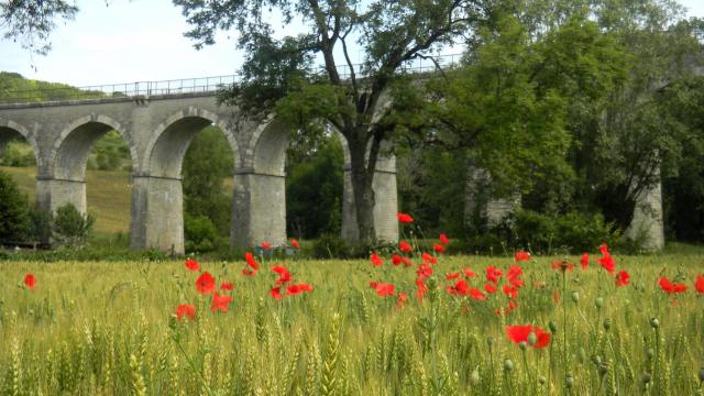 Printemps Viaduc Cormot Vauchignon