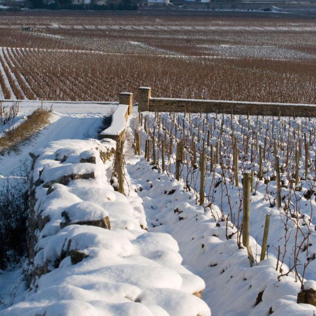 puligny-montrachet-muret-winter