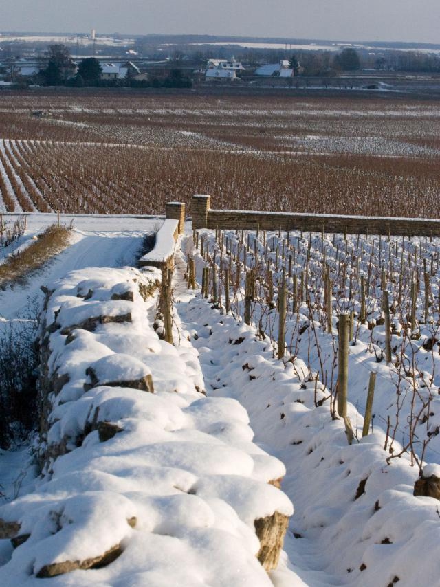 puligny-montrachet-muret-winter