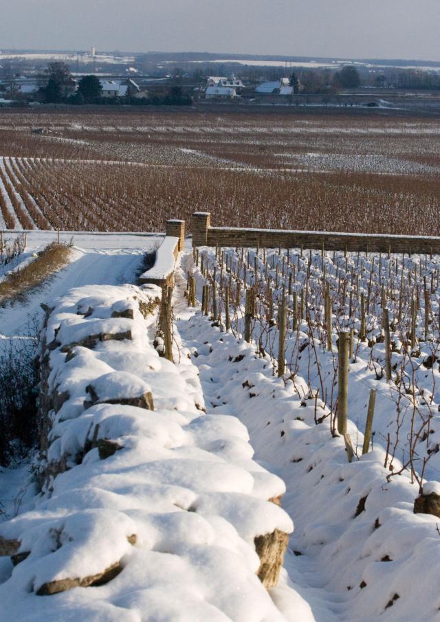 puligny-montrachet-muret-winter