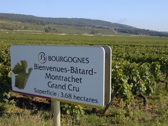 Puligny Montrachet Panneau