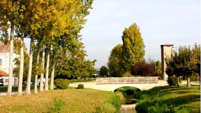 Riviere Ruffey Les Beaune Automne