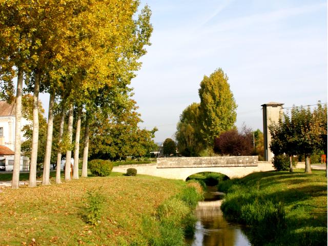 Riviere Ruffey Les Beaune Automne