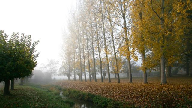 Ruffey Les Beaune Automne Canal