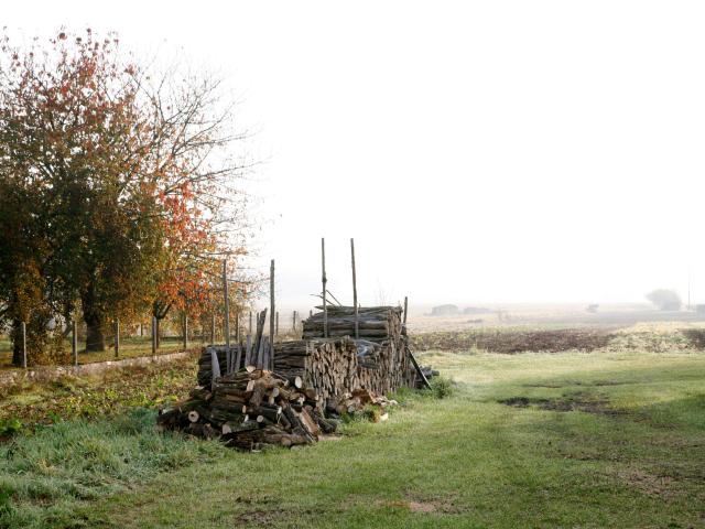 Ruffey Les Beaune Champs Automne