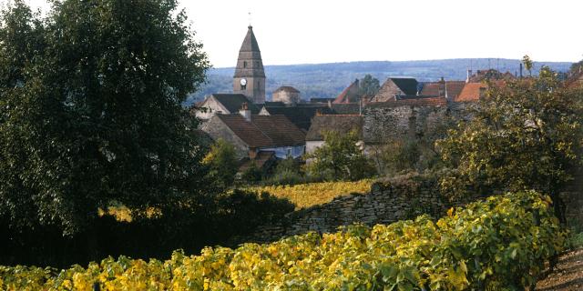 saint-aubin-vignes-automne