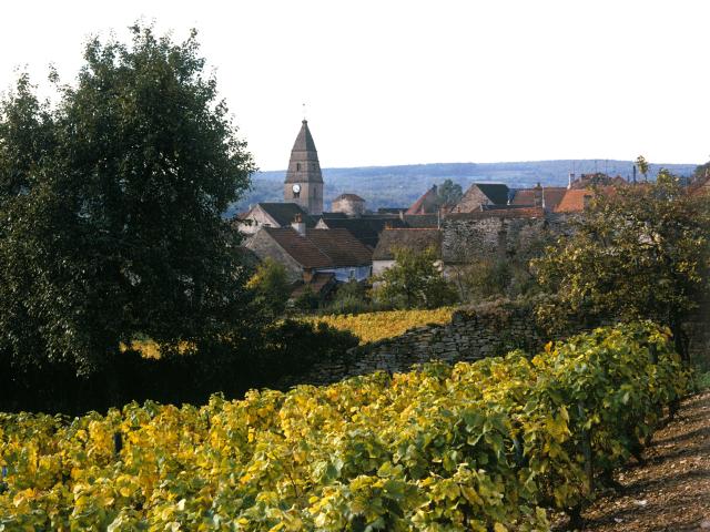 saint-aubin-vignes-automne