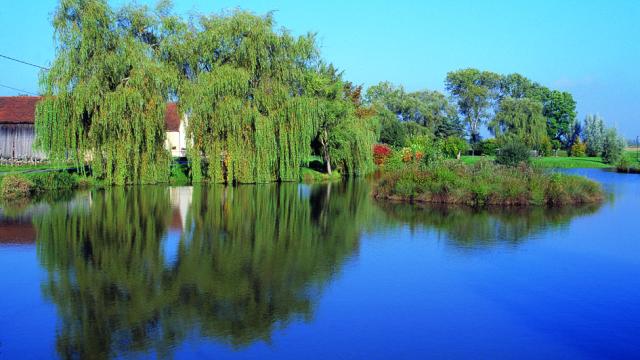 Sainte Marie La Blanche Lac