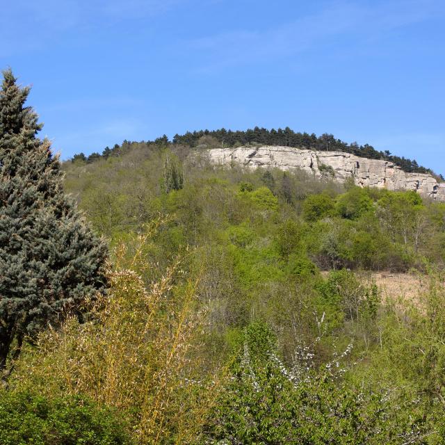 sapin-falaise-cormot-vauchignon