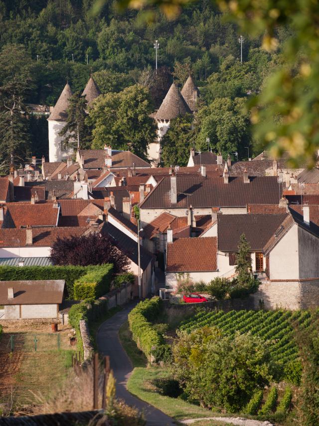 savigny-les-beaune-village