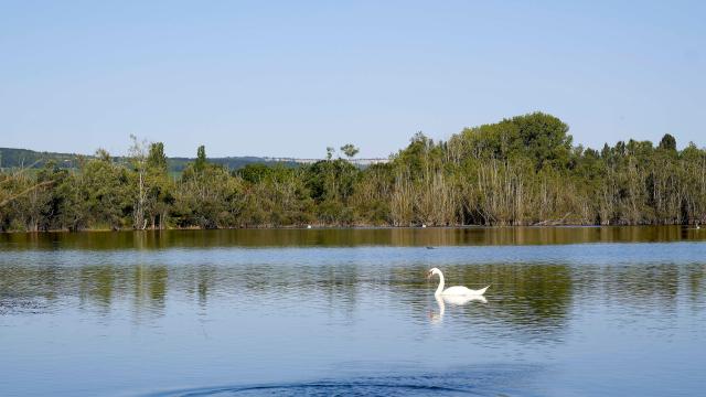 Tailly Lac Cygne