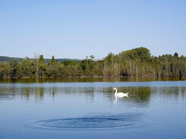 Tailly Lac Cygne