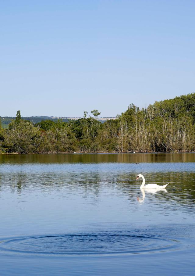 Tailly Lac Cygne