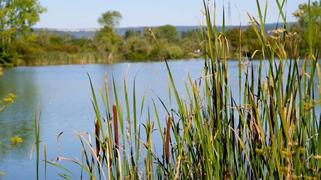 Tailly Lac Nature