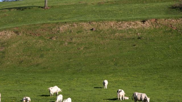 Val Mont Vache