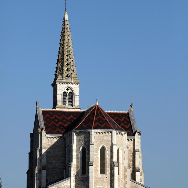 Vignes Corpeau Eglise