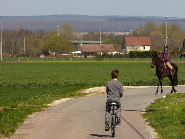 Vignoles Velo Cheval