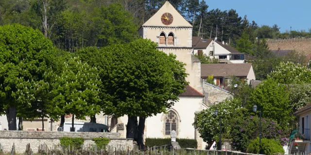 volnay-vigne