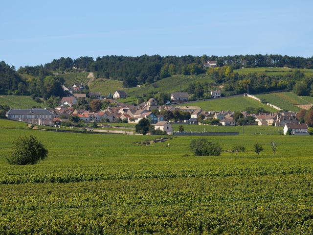 Volnay Vigne Village