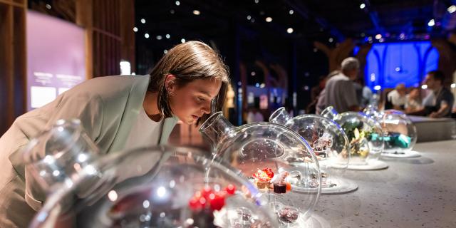 Cité des Climats et des vins de Bourgogne - Beaune