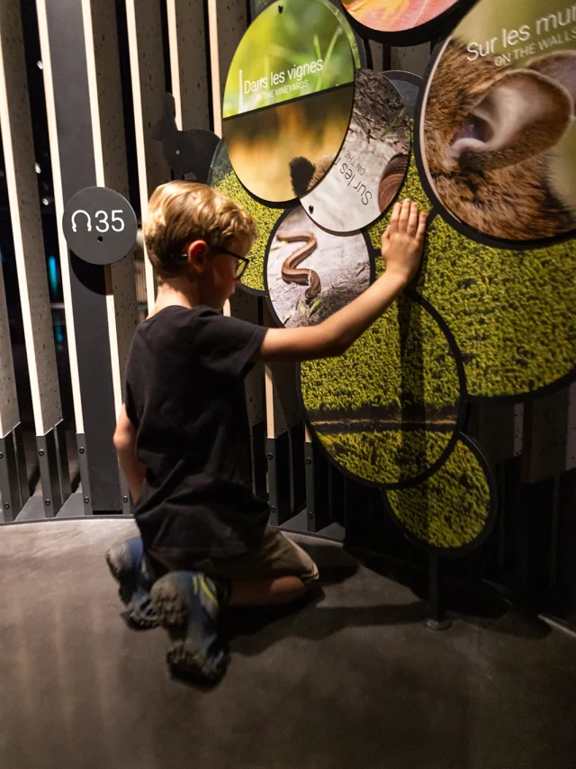 Cité des Climats et des vins de Bourgogne - Beaune