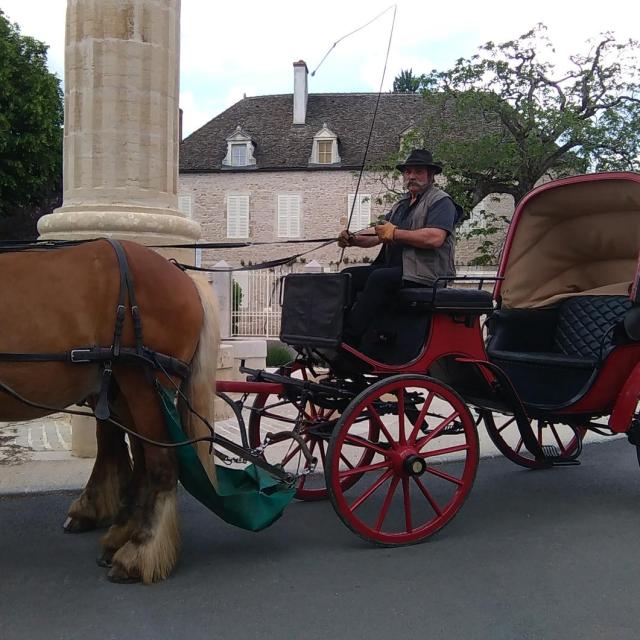 Attelage Beaune Passion - Chevaux Comtois