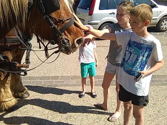 Beaune children's carriage