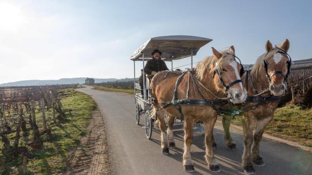 Beaune Winter Driving