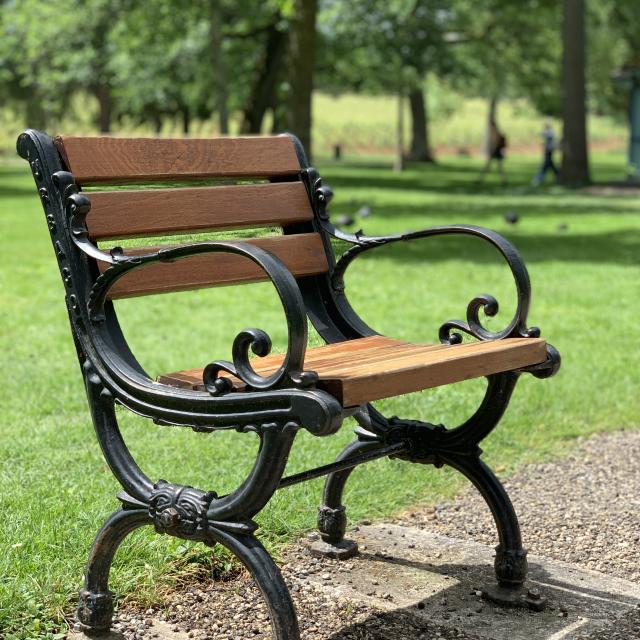 Bouzaize Park Bench