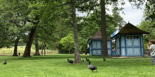 Parc Bouzaize Cabane