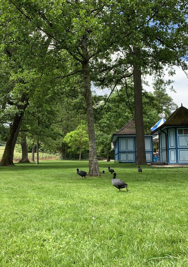 Parc Bouzaize Cabane