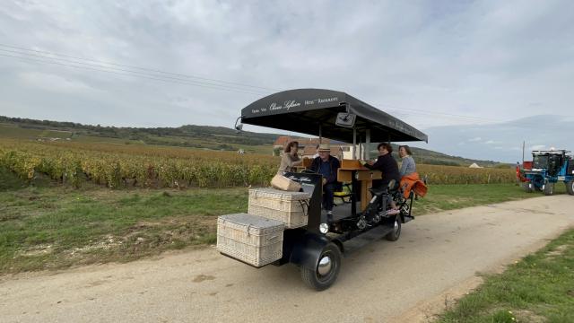 Wine Bike en Bourgogne