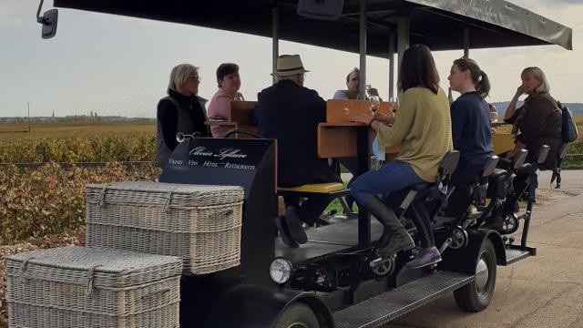 Wine Bike en Bourgogne