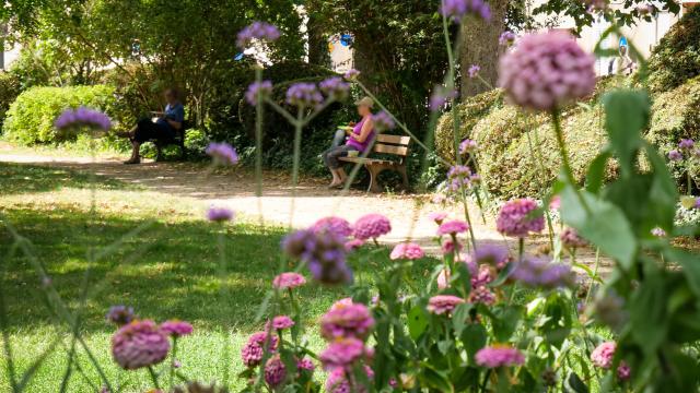 Square Des Lions Beaune5