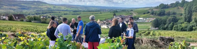 Sur les pas des vignerons