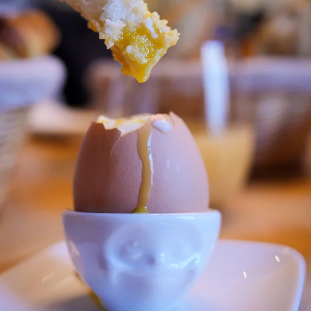 Charles V Egg