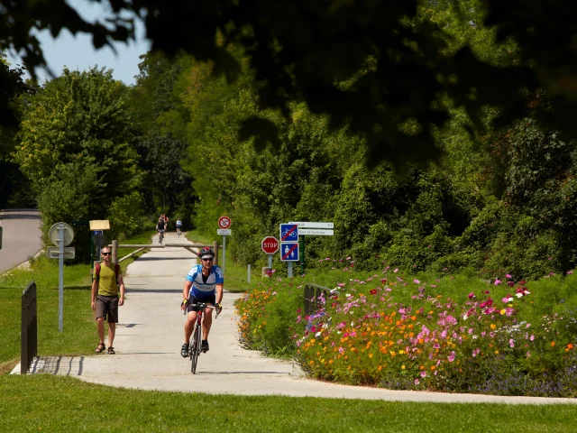 Santenay Velo Fleur