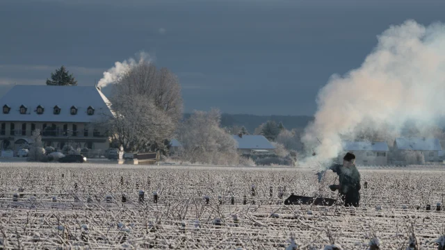 Brasero dans les vignes en hiver