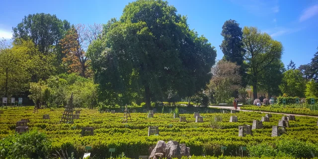 Dijon Jardin Arquebuse