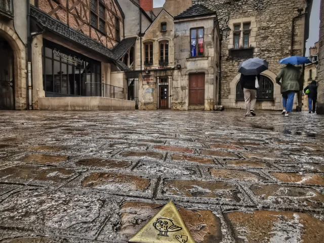 Parcours Chouette Dijon