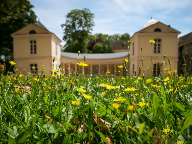 Theatre Verdure Ete